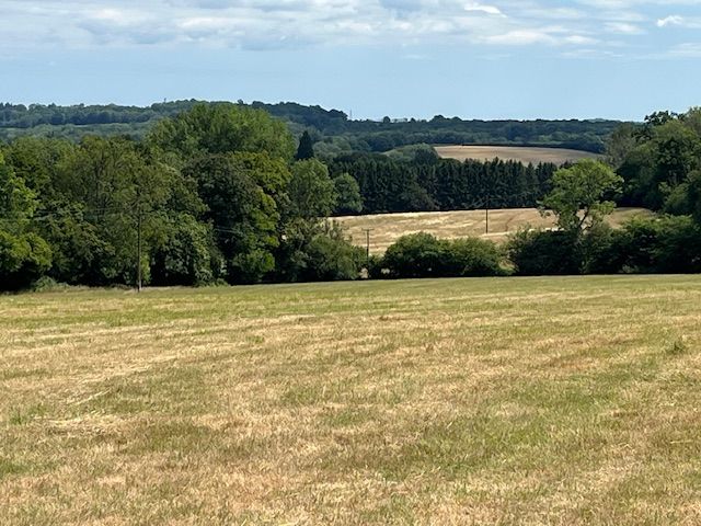 View over fields to hills
